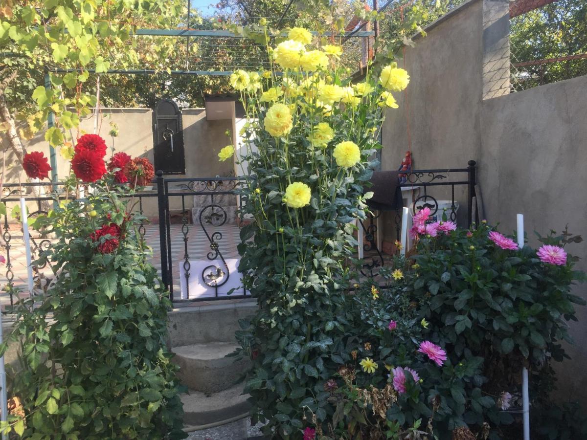 Apartament Sofia Tbilisi Exteriör bild